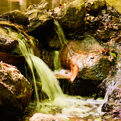 Rivulet near Vyzlovka near Prague