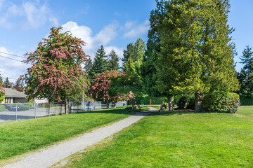 Park Path And Flowers 5
