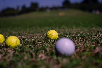 golf ball on the green