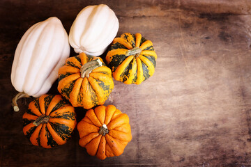 different kinds of pumpkins over wooden old table