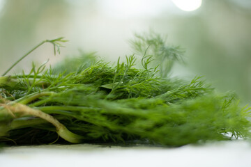 fresh dill lies on the table