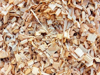 deciduous wood chips in a pile