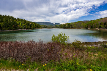 Otter Cove in Acadia National Park