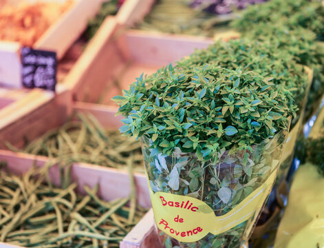 French basil for sale at the market in Provence. 