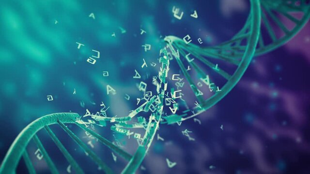 close up view of a dna double helix rotating, dna damage with tcga letters fliying around, concept of disorder or genetic mutation (3d render)