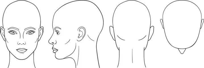 Fotobehang Female head vector illustration in front, back, top, side view © Olga Begak Art