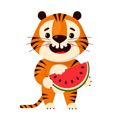 Cute cartoon tiger eating watermelon slice, vector illustration isolated on white background