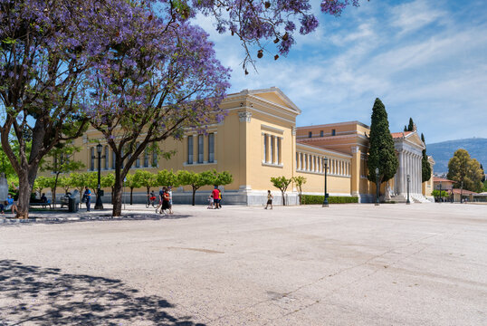 Athens, Attica, Greece. Panoramic, angled view of the Zappeion Hall neoclassical building area and the park with the Jacaranda trees. People relaxing or enjoying their walk at the park