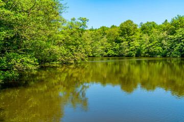 Fototapeta na wymiar Virginia Water lake