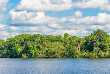 Amazon tropical rainforest in summer. Amazon river basin located in Brazil, Bolivia, Colombia,...