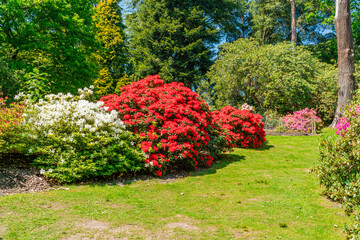 Virginia Water Park