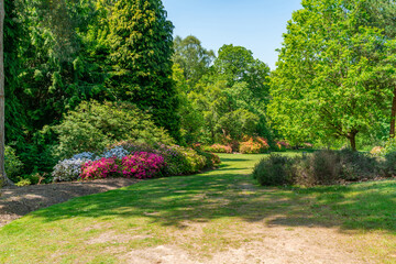 Virginia Water Park