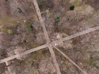 Aerial view of Kiseleff Park in Bucharest, Romania