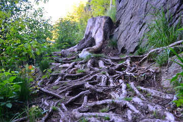 Wolkensteiner Schweiz Erzgebirge Sachsen 