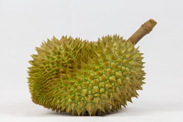 King of fruits  durian fresh cut isolated on white background