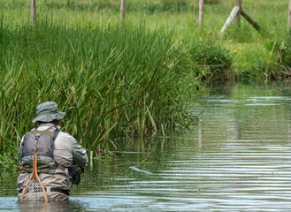 Obraz premium fly fishing for brown trout on the river Avon in Wiltshire