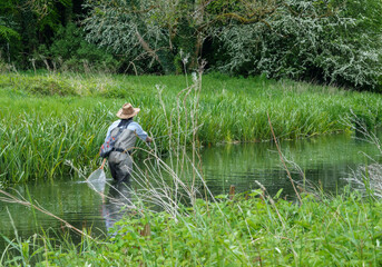 a fly fisherman angler in chest waders casts his fly line fishing for brown trout on a beautiful reed lined chalk stream river Avon, Wiltshire UK 