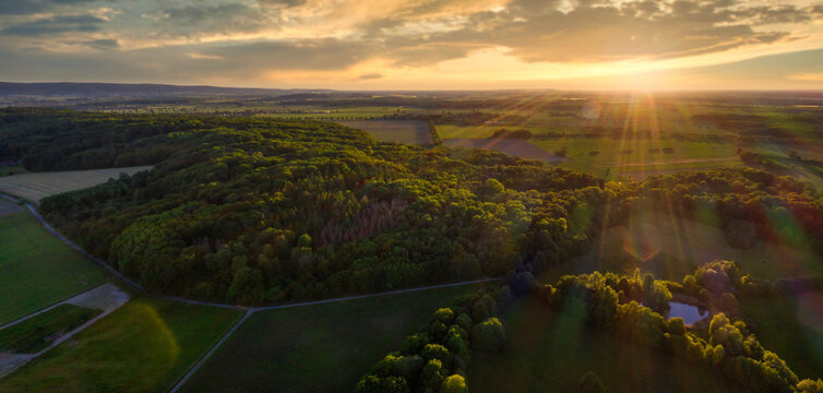 Abendlicht am sommerlichen Benther Berg bei Hannover