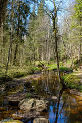 calm forest smal lriver with small waterfall from natural rocks