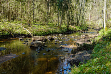 calm forest smal lriver with small waterfall from natural rocks