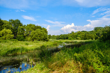 summer countryside fields and forests with blu sky above