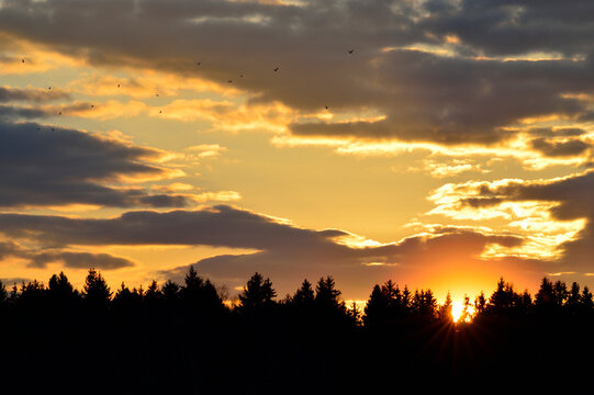 sunset skay
