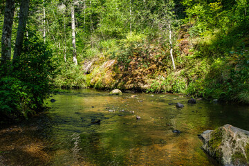 Fototapeta na wymiar calm forest smal lriver with small waterfall from natural rocks