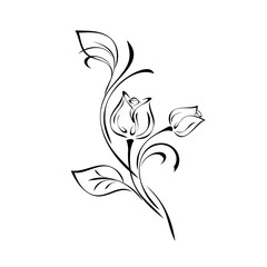 ornament 1792. stylized twig with flower buds, leaves and curls in black lines on a white background