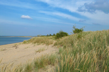 A panoramic view on the sandy beach by Baltic Sea on Sobieszewo island, Poland. The beach is scarcely overgrown with high grass. The sea is gently waving. A bit of overcast. Serenity and calmness