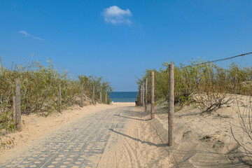 A path leading to a sandy beach by the Baltic Sea on Sobieszewo island, Poland. The sea is gently...