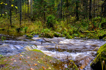 calm forest smal lriver with small waterfall from natural rocks
