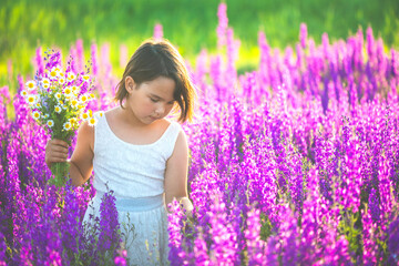 Girl in a white dress gathering purple flowers