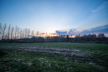 Fototapeta premium summer countryside fields and forests with blu sky above