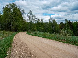 dusty gravel road in summer green fresh wet forest