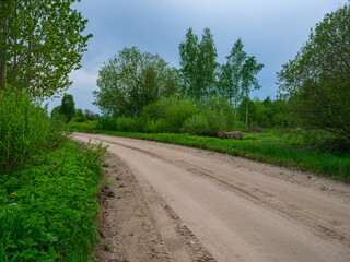 dusty gravel road in summer green fresh wet forest