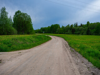 dusty gravel road in summer green fresh wet forest