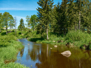 calm forest smal lriver with small waterfall from natural rocks