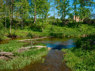 calm forest smal lriver with small waterfall from natural rocks