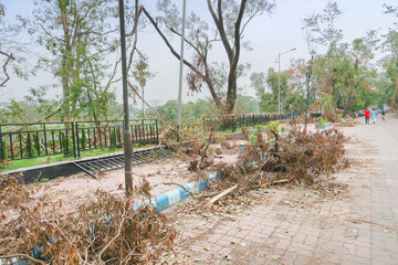 Super cyclone Amphan uprooted tree which fell and blocked pavement. The devastation has made many trees fall on ground. Shot at Howrah, West Bengal, India.