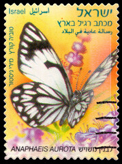 Fototapeta na wymiar Postage stamp printed in Israel. Shows butterfly Anaphaeis Aurota living in Israel