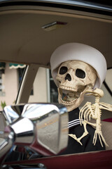 Skeleton Sailor Driving A Car