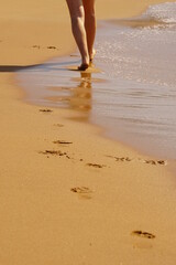 Paseando por la playa