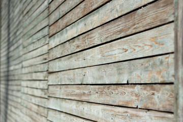 A wall of planks. Painted board texture.