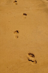 Pasos en la arena