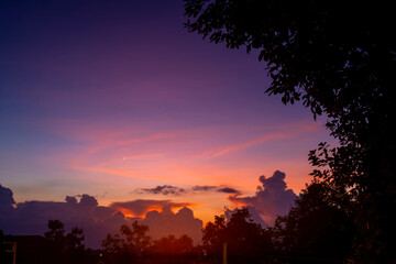 Fototapeta na wymiar Sunset against dark silhouette tree. Image soft focus.