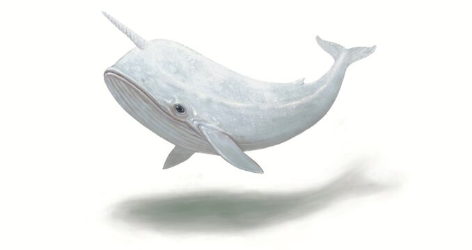 Fantasy whale isolated on white background. Surreal animal 3d illustration. painting