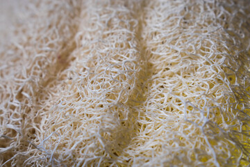 Macro of natural white sponge texture on a black wooden table. 
