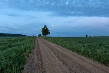 Empty sandy road among fields, tree and full moon on the horizon