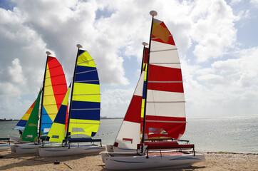 sailboats  on the beach
