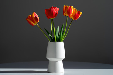 Bouquet of five tulips in a white vase on a gray background.